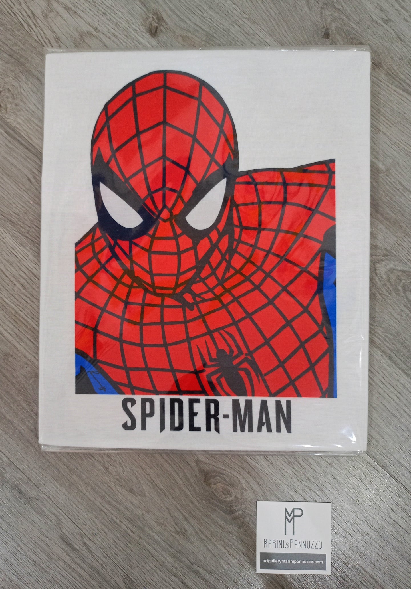 T-shirt SPIDERMAN