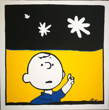 Carica l&#39;immagine nel visualizzatore di Gallery, Da Schulz... Charlie Brown Notturno
